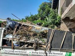 Best Basement Cleanout  in Grand Saline, TX