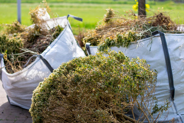 Best Appliance Removal  in Grand Saline, TX